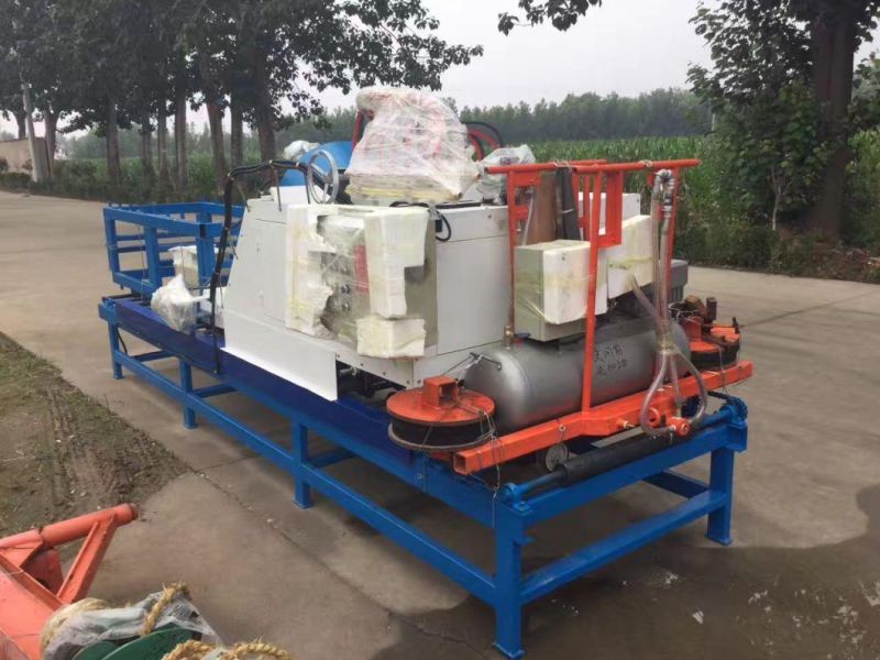 Auto Granite Strips Flaming Machine Blf-1000
