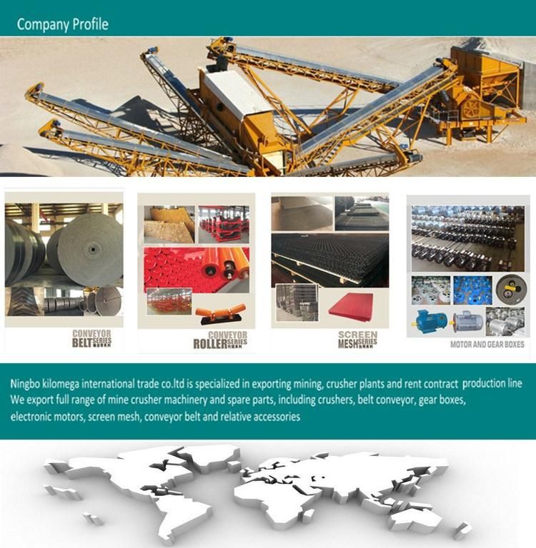 Mining Product Jaw Plate/ Toggle/ Check Plate