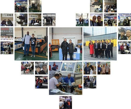 CNC Router Metal Cutting Machine for Sale (DW1224)