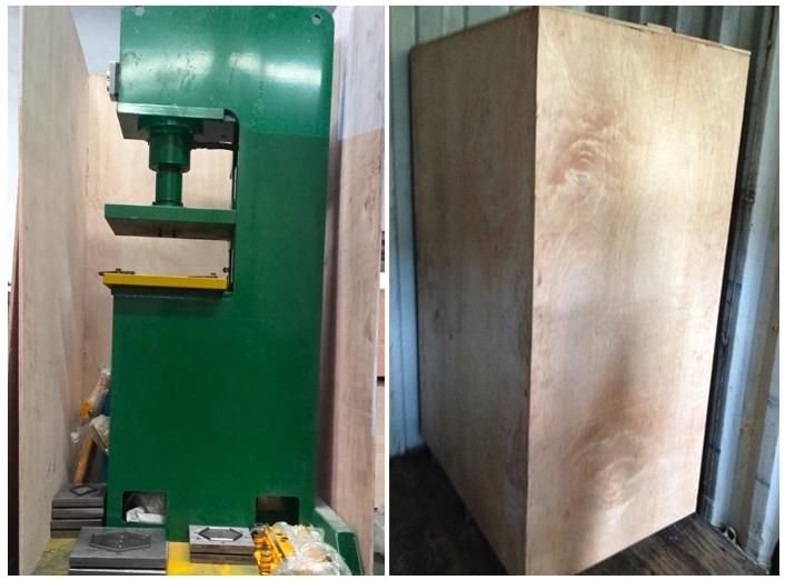 Hydraulic Natural Paving Stone Stamping/Pressing Machine