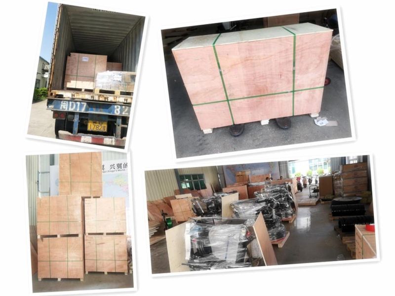 Concrete Equipment Diamond Floor Grinder on Sale
