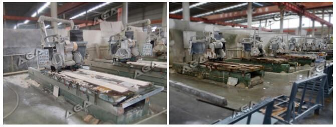 Two Blade Profile Cutting Machine for Granite Marble (FX1200)