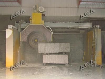 Multi Blades Cutting Machine (DQ2200)