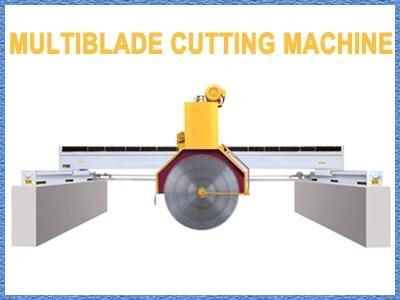 Multi Blades Cutting Machine (DQ2200)