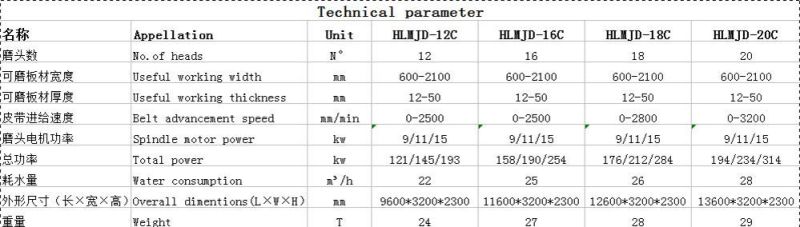 20 Heads Automatic Stone Polishing Machine of Large Slab for Quartz, Granite or Marble