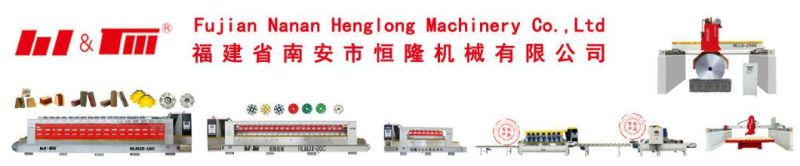 Disc Grinding Henglong Countertop Sink Hole Edge Polishing Machine with CE