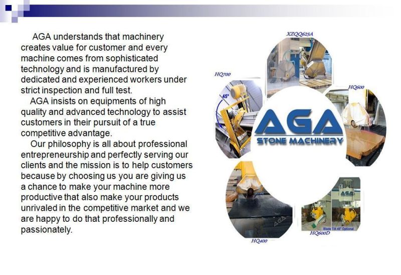 Stone Equipment Bridge Saw Cutting Polishing Slab Machine Tile Cutter (XZQQ625A)