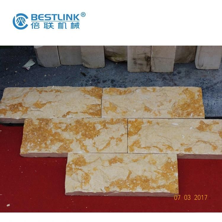 Bestlink Mushroom Face Stone Making Machine