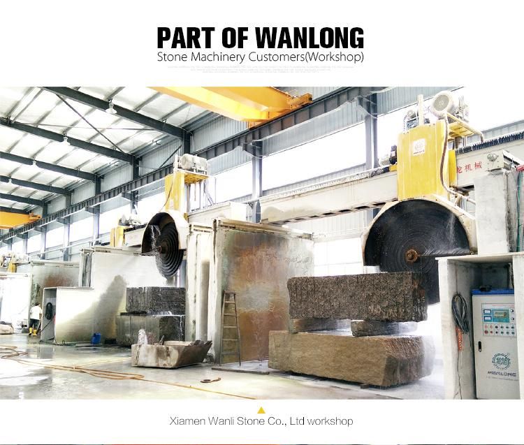 Wanlong Qsq-2200 Bridge Multiblade Granite Block Cutting Machines